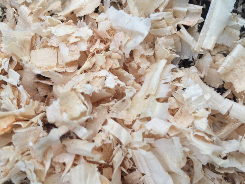 Pine Shavings Carousel 1