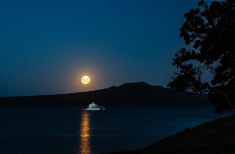 Rangitoto, the moon and a boat (80cm Canvas Print) Carousel 1