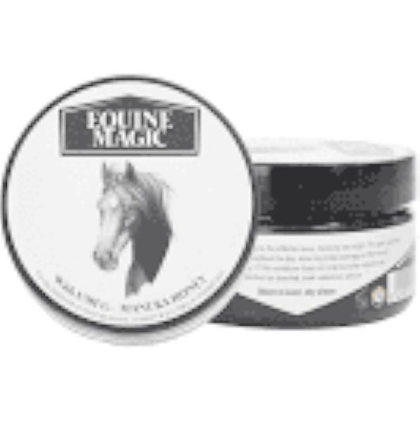 Equine Magic 100GMS Carousel 1