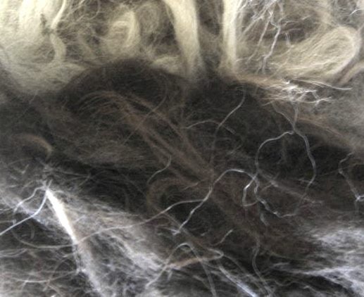 Llama Fleece #45, 1kg Brown with touch of grey. Carousel 1