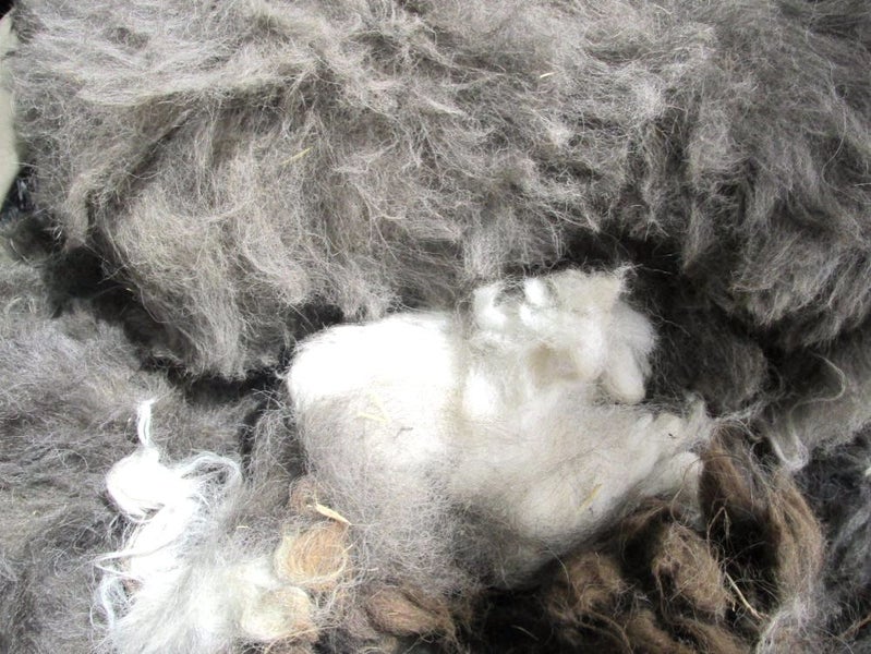 Llama Fleece 1kg, Grey's and brown's blend with a touch of white Carousel 1