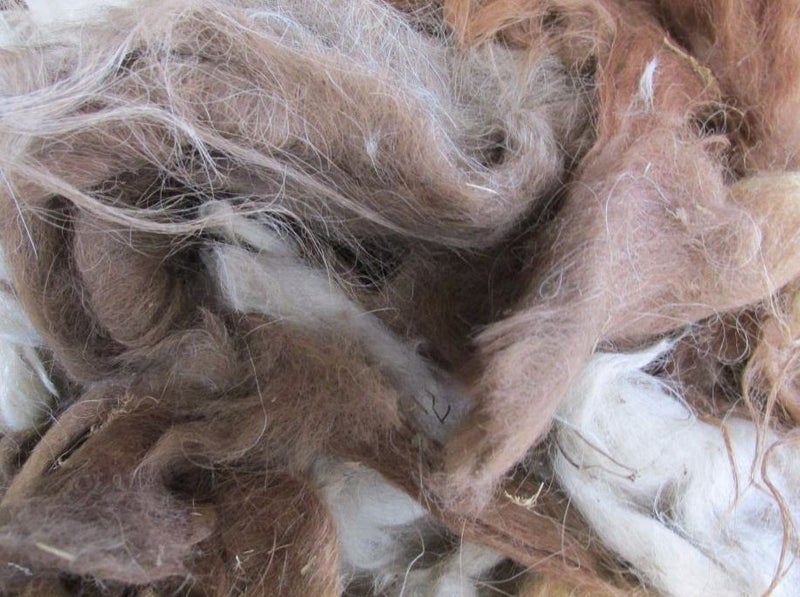 Llama Fleece #43, 1kg. Natural blend of brown, white, and grey appaoloosa Carousel 1