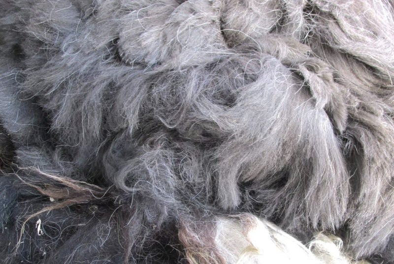 Llama Fleece #8, 1kg. Natural blend of dark appaloosa, browns, caramel and grey Carousel 1