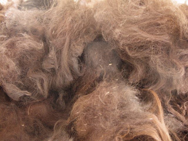 Llama Fleece, 1kg.Caramel brown Carousel 1