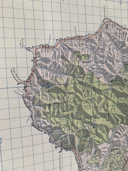 Vintage Palliser Map - Wellington Carousel 2