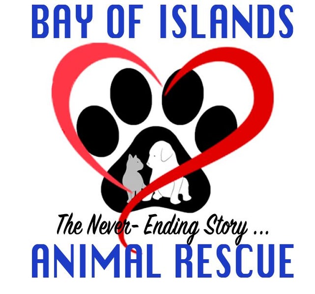 Davis - Mastiff X - BOI Animal Rescue Trust Carousel 2