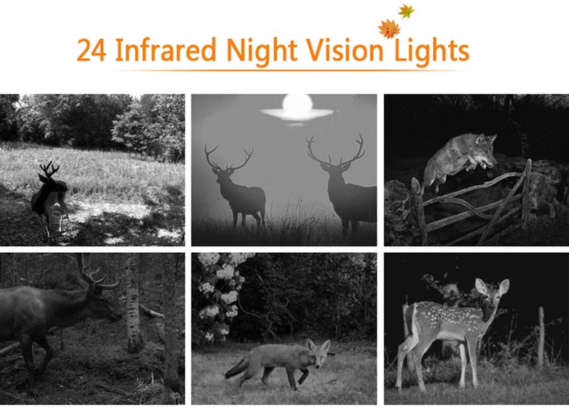 H883 Hunting Camera 0.6s Trigger Time 5MP 1920P HD IP65 Tracking Camera Carousel 10