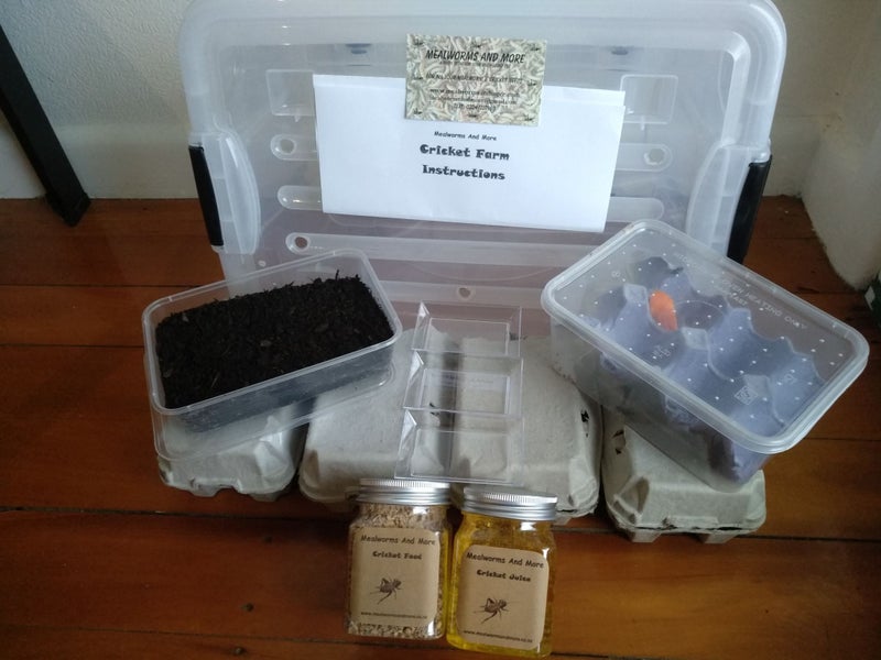 Complete Cricket Farm Breed your own feeder Crickets Carousel 1