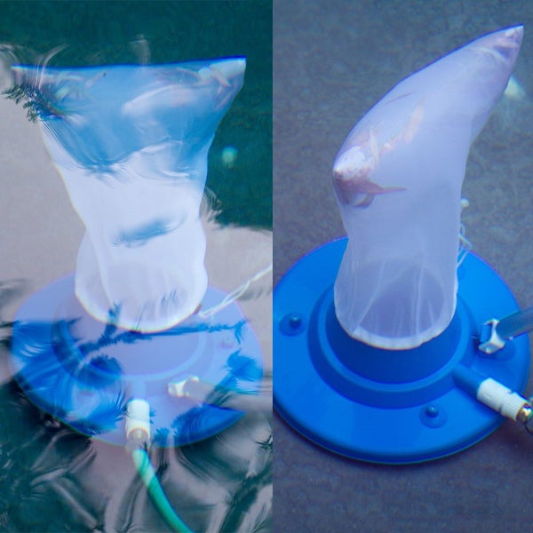 Pool Cleaning Tool Suction Head with Mesh Bag Swimming Pool Vacuum Cleaner Swimm Carousel 2