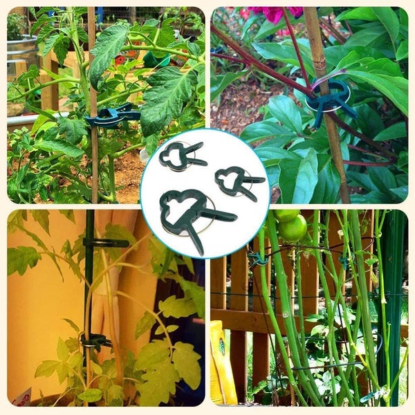 Garden Clips New Carousel 2