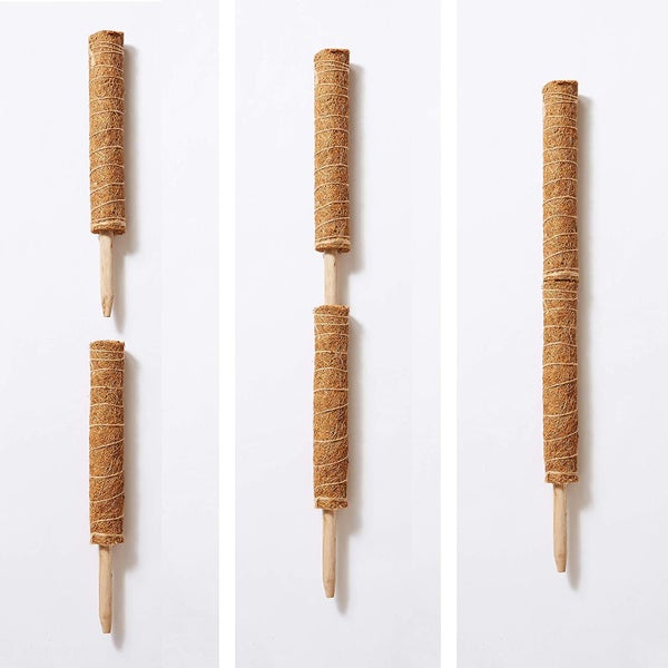 Coco Coir Poles New Carousel 2