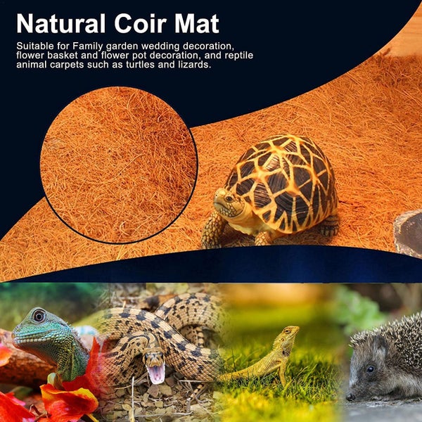 Coconut Mat 100x60cm New Carousel 6