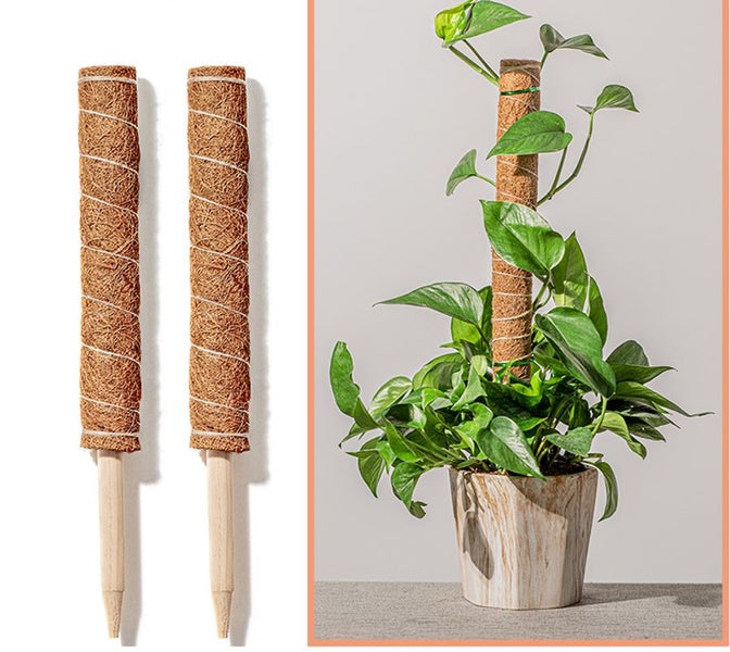 Coconut Liner Moss Rod for Climbing Plants 50cm 4 Pack Carousel 1