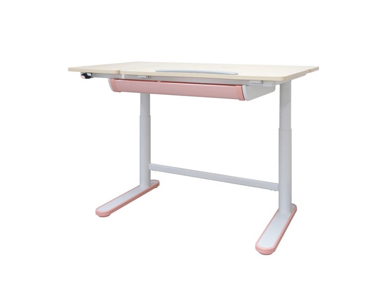 Height & Tilt Adjustable Kids Study Desk - Pink Carousel 2