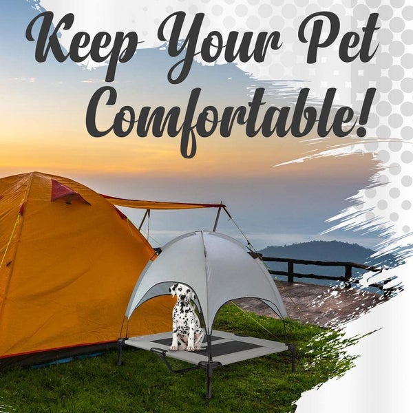 Dog Bed New Carousel 2