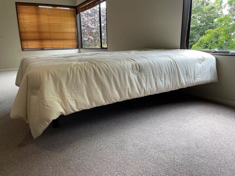 Extra Warm Soybean Fibre 800gsm Winter Duvet Insert /Comforter-KING Carousel 2