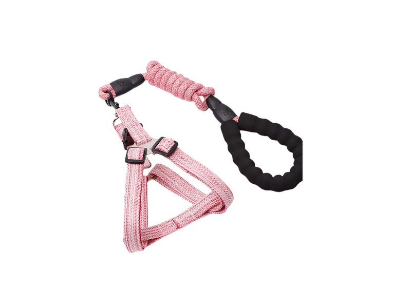 2X S Size Adjustable Pet Dog Harness with Leash Blue Pink Carousel 2