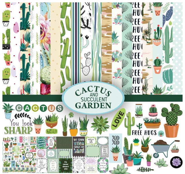 Inkdotpot Cactus and Succulent House Plants Theme Collection Double-Sided Carousel 1