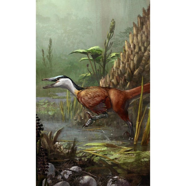 Creative Beast Studio Wetlands Accessory Pack with Buitreraptor g. 1:6 Scale Carousel 5