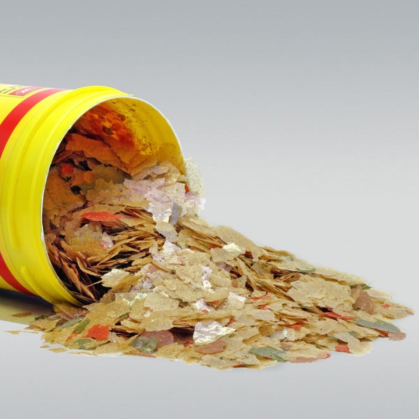 JBL NovoRed Main flake food for goldfish-45g Carousel 2