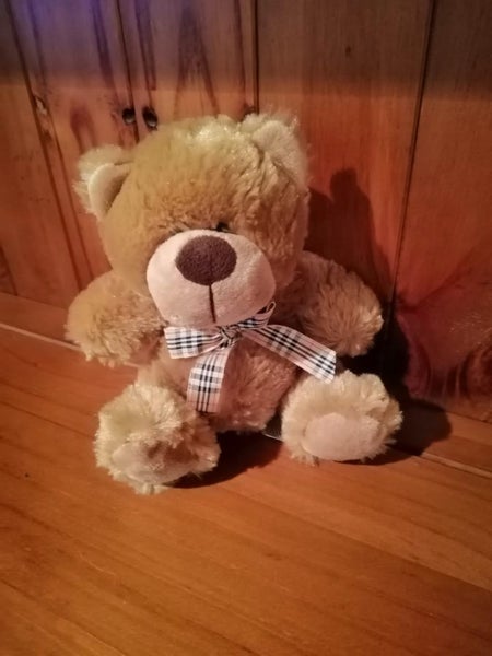 Antics Teddy bear Carousel 1