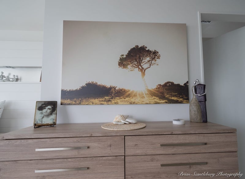 Large Format Canvas Print: Lone Pine Golden Hour (120x80cm)63615600237955113