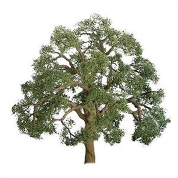 Model Scenery - 125mm Live Oak (1) Carousel 1