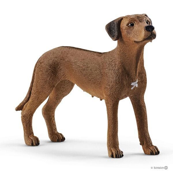 Schleich Farm World - Rhodesian Ridgeback Carousel 1