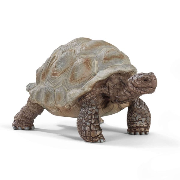 Schleich Wild Life - Giant Tortoise Carousel 1