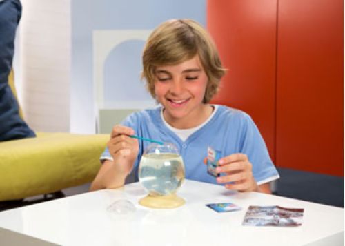 Aqua Dragons - Jurassic EGGspress Blister Carousel 2
