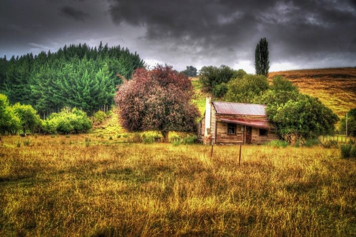 Rangitikei Taihape Old Farm Ruin 2 44cm x 66cm Canvas Print Carousel 1