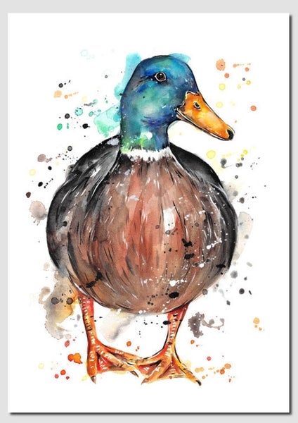 A3 Mallard Duck Limited Edition Print by Fiona Clarke ART- NZ artist Carousel 1