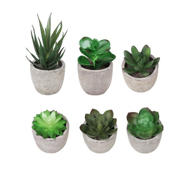 6PCS Artificial Potted Succulent Plants Carousel 1