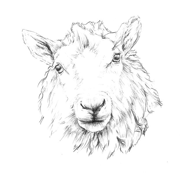 ORIGINAL Ballpoint Drawings Carousel 18