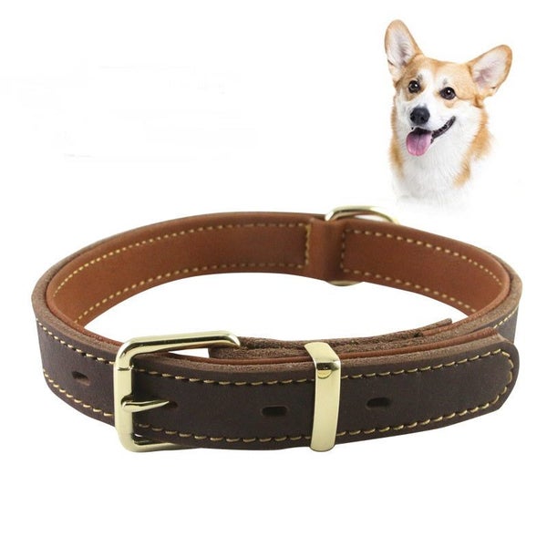 Genuine Leather Dog Double Layer Collar | TOUCHANDCATCH NZ Carousel 1