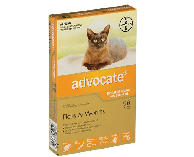 Advocate Flea and Worm Treatment for Cat and Kittens under 4KG-6 pack Carousel 1