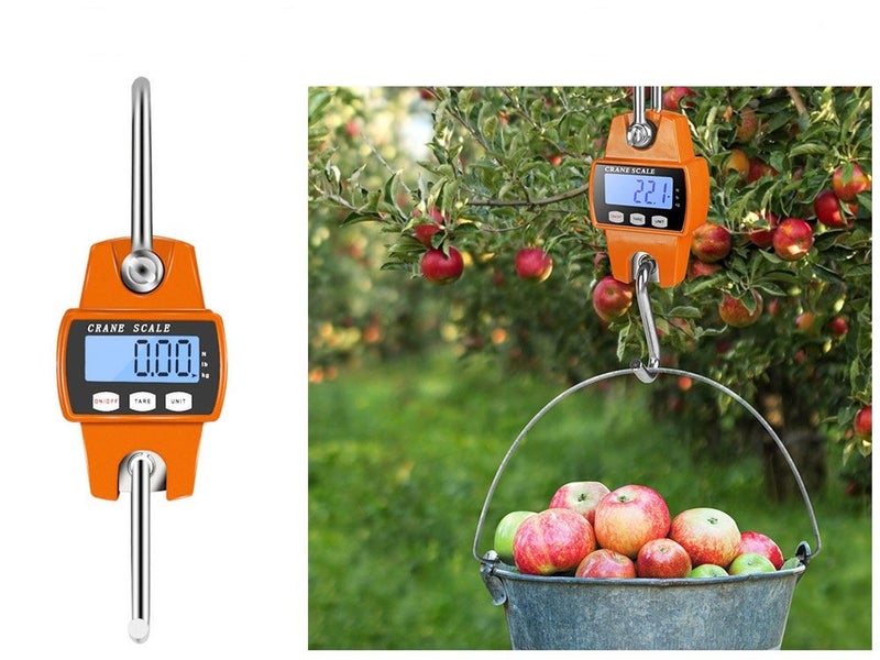 PTN NEW Crane Scales 300KG Sale Sale Sale Carousel 10