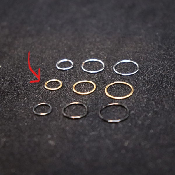 Gold Nose Ring - 6mm Carousel 1