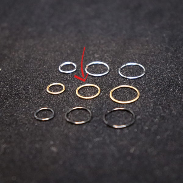Gold Nose Ring - 8mm Carousel 1