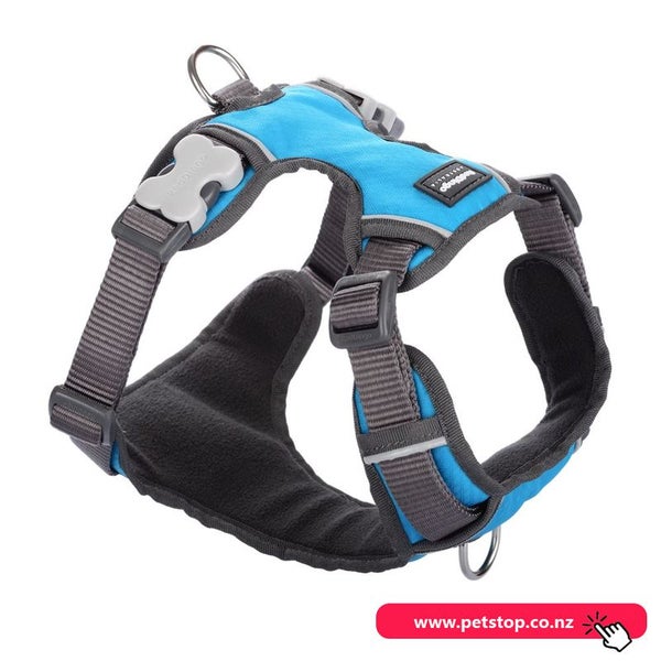 Red Dingo Padded Pet Harness Turquoise Size S Carousel 1