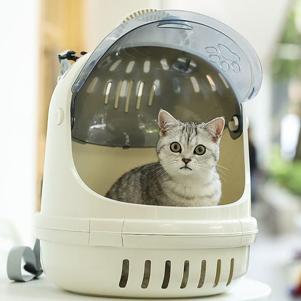 Pet Backpack Carrier Bag Transparent - Creamy white Carousel 2