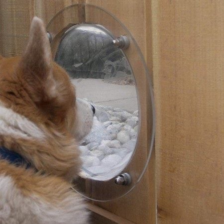 Pet Peek Fence Bubble Window For Dogs Durable Acrylic Dome Fence Window Carousel 2