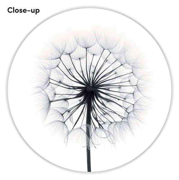 Dandelion Art Print Carousel 2