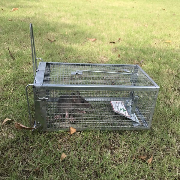 Humane Rat Trap,Chipmunk Rodent Trap That Work for Indoor and Outdoor Carousel 2