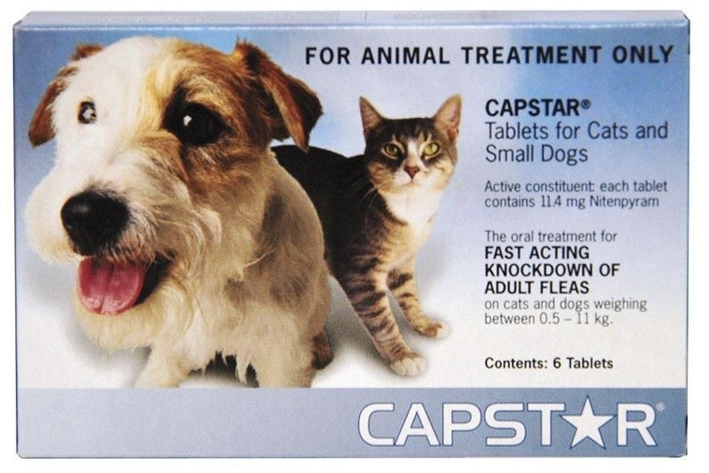 Capstar Dog And Cat Flea Treatment 6 Tabs 0.5-11kg Carousel 1