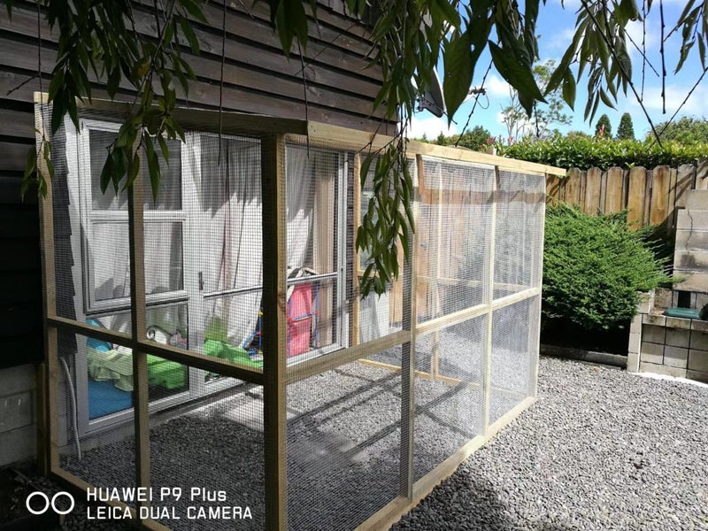 Catio---NZ Made Carousel 1