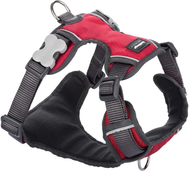 Red Dingo Padded Dog Harness Red XSmall Carousel 1