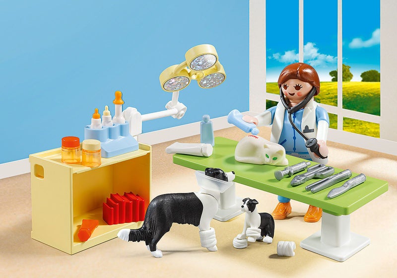 Playmobil Vet Visit Carry Case 5653 Carousel 1