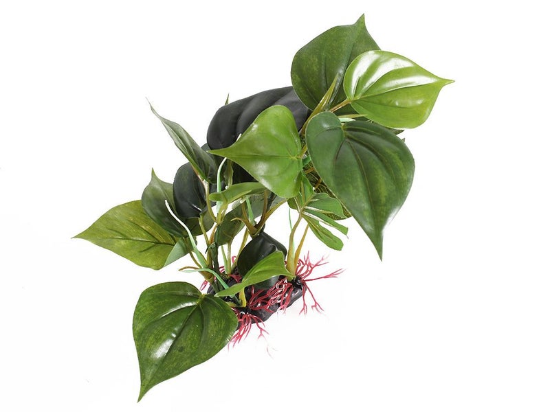 PTN NEW Aquarium Fish Tank Plants Sale Sale Carousel 7