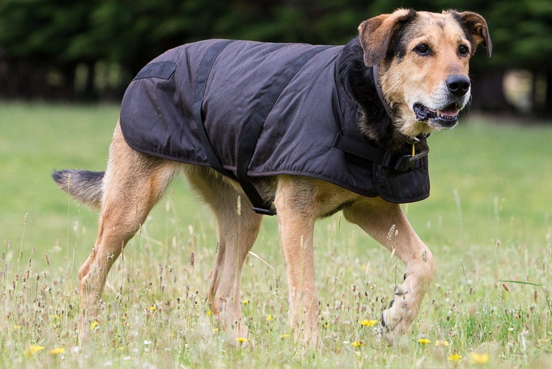 Outback Trading Clancy Oilskin Dog Coat - Sizes XS to 3XL Carousel 2